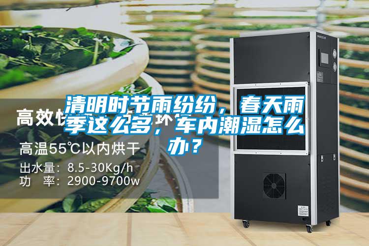 清明時節雨紛紛,春天雨季這么多,車內潮濕怎么辦?