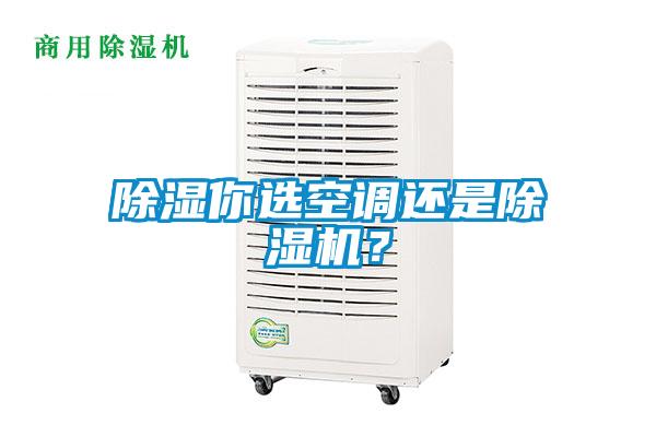 除濕你選空調(diào)還是除濕機？