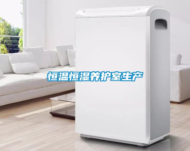 恒溫恒濕養(yǎng)護室生產
