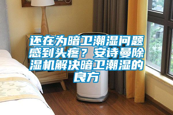 還在為暗衛(wèi)潮濕問(wèn)題感到頭疼?安詩(shī)曼除濕機(jī)解決暗衛(wèi)潮濕的良方