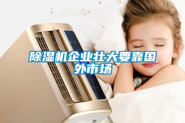 除濕機(jī)企業(yè)壯大要靠國外市場
