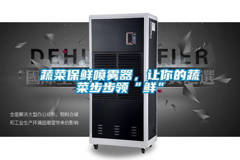 蔬菜保鮮噴霧器,讓你的蔬菜步步領“鮮”