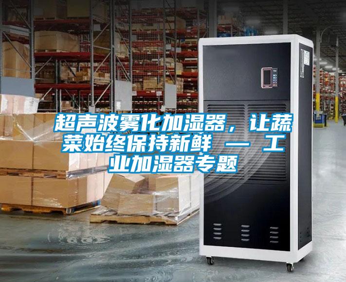 超聲波霧化加濕器，讓蔬菜始終保持新鮮 — 工業加濕器專題