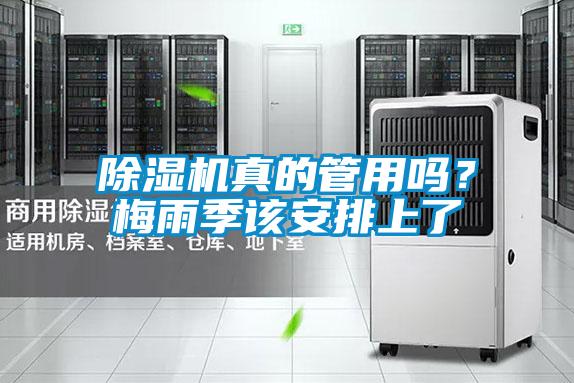 除濕機真的管用嗎？梅雨季該安排上了