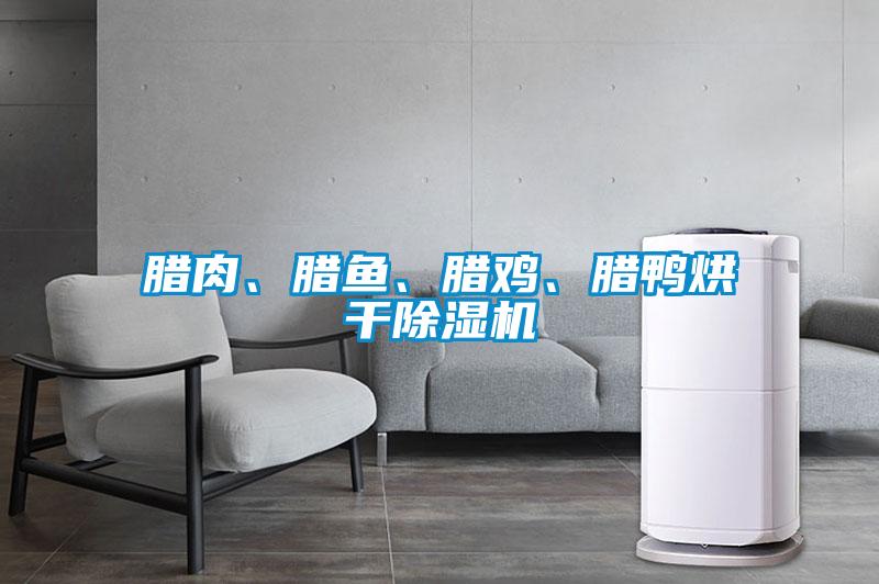 臘肉、臘魚、臘雞、臘鴨烘干除濕機