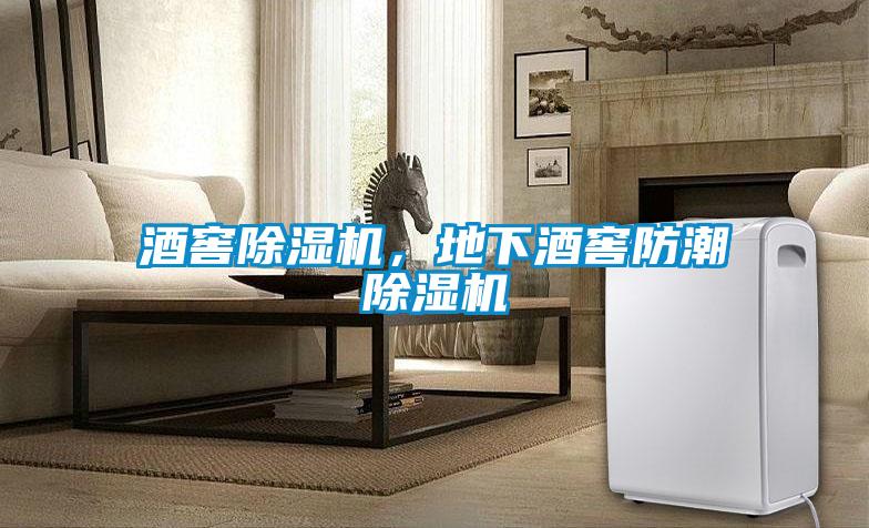 酒窖除濕機，地下酒窖防潮除濕機