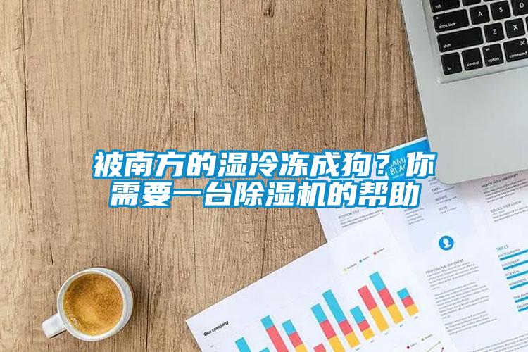 被南方的濕冷凍成狗？你需要一臺除濕機的幫助