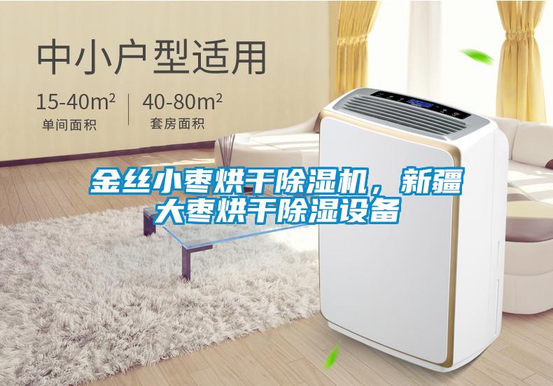 金絲小棗烘干除濕機，新疆大棗烘干除濕設備