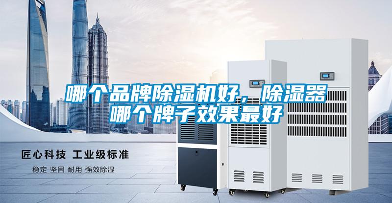 哪個品牌除濕機好，除濕器哪個牌子效果最好