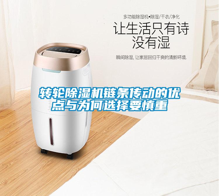 轉(zhuǎn)輪除濕機(jī)鏈條傳動的優(yōu)點與為何選擇要慎重