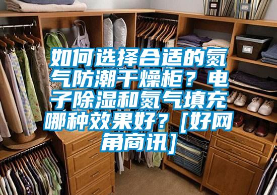 如何選擇合適的氮氣防潮干燥柜？電子除濕和氮氣填充哪種效果好？[好網角商訊]