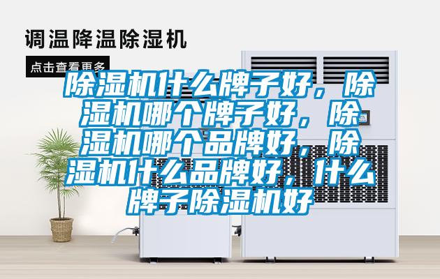 除濕機什么牌子好,除濕機哪個牌子好,除濕機哪個品牌好,除濕機什么品牌好,什么牌子除濕機好