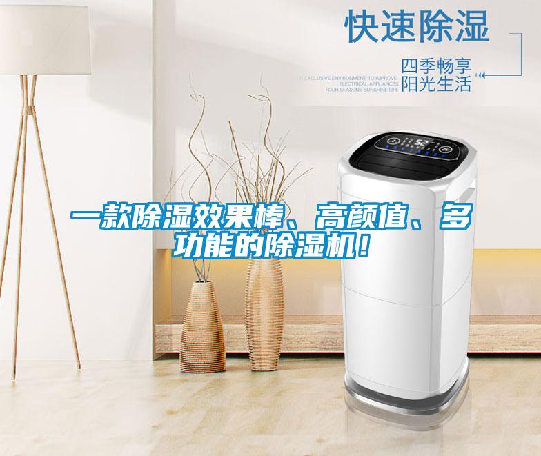 一款除濕效果棒、高顏值、多功能的除濕機！