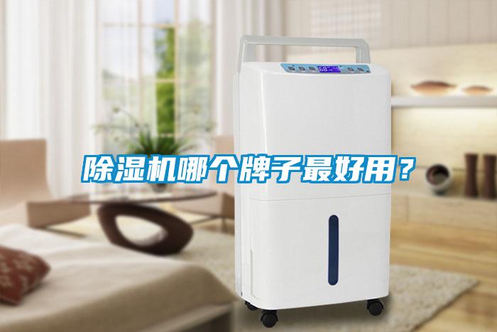除濕機哪個牌子最好用？