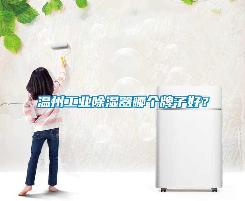 溫州工業除濕器哪個牌子好？