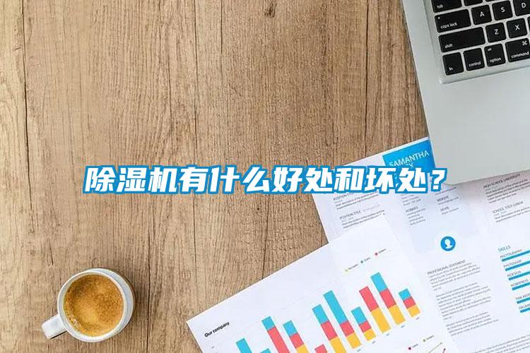 除濕機有什么好處和壞處？