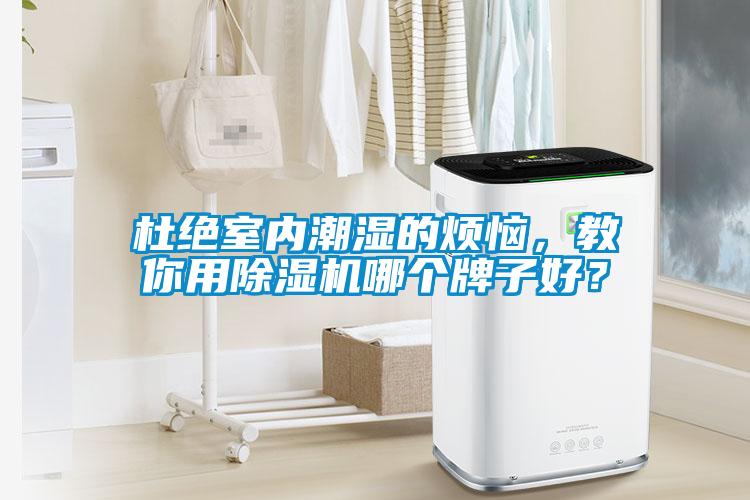 杜絕室內潮濕的煩惱，教你用除濕機哪個牌子好？
