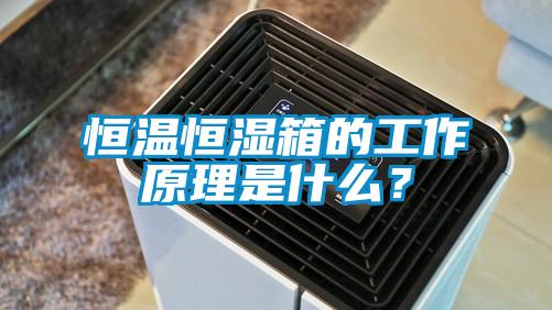 恒溫恒濕箱的工作原理是什么?