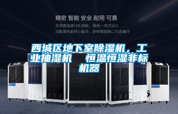 西城區(qū)地下室除濕機(jī),工業(yè)抽濕機(jī) 恒溫恒濕非標(biāo)機(jī)器