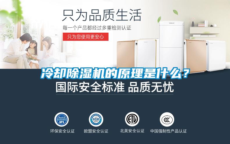 冷卻除濕機的原理是什么？
