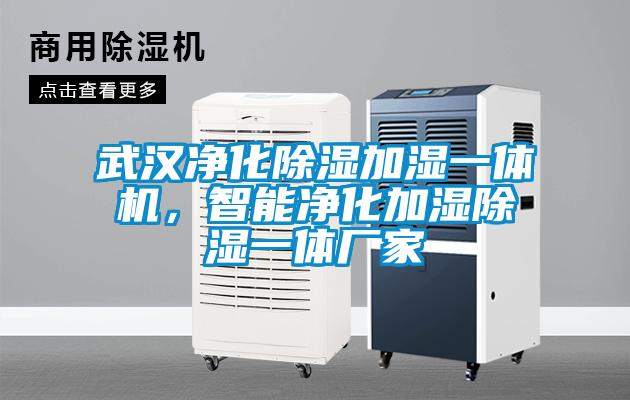 武漢凈化除濕加濕一體機，智能凈化加濕除濕一體廠家