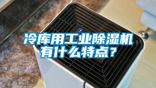 冷庫用工業除濕機有什么特點?