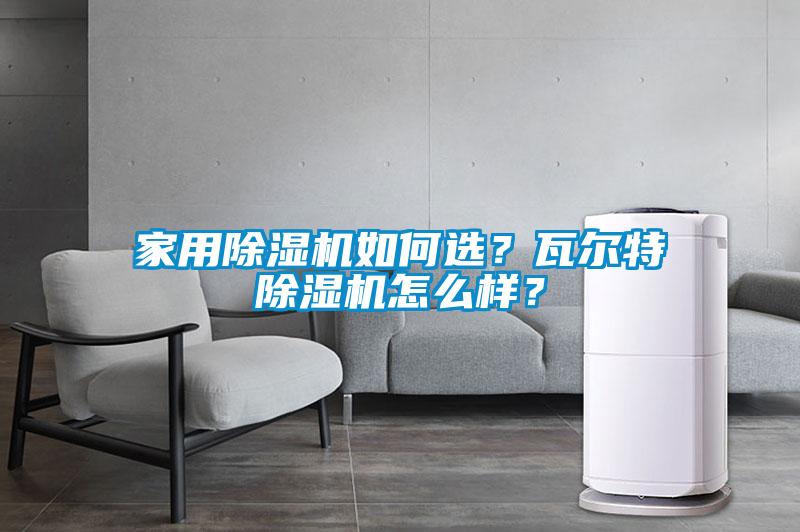 家用除濕機如何選？瓦爾特除濕機怎么樣？
