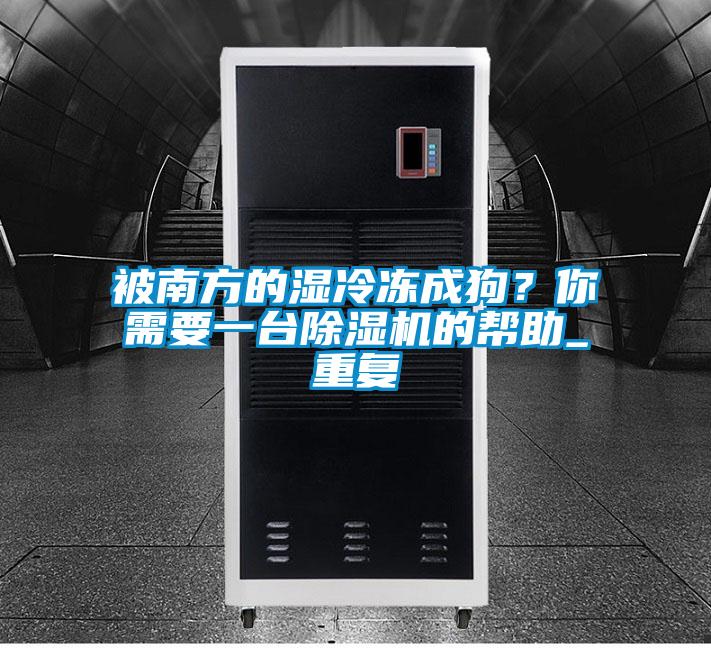 被南方的濕冷凍成狗?你需要一臺除濕機的幫助_重復