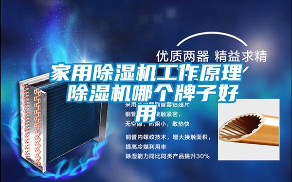 家用除濕機(jī)工作原理 除濕機(jī)哪個牌子好用