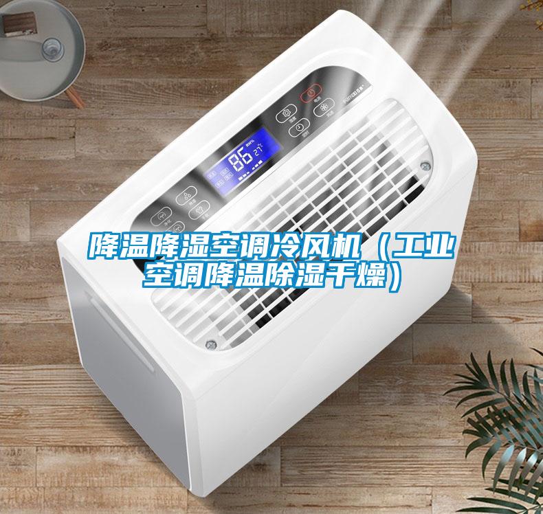 降溫降濕空調(diào)冷風(fēng)機（工業(yè)空調(diào)降溫除濕干燥）