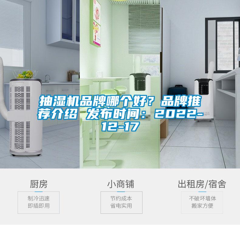 抽濕機品牌哪個好？品牌推薦介紹 發(fā)布時間：2022-12-17