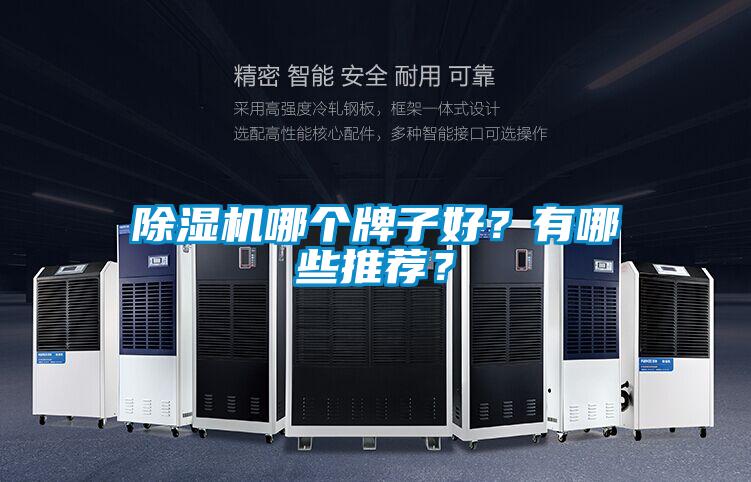 除濕機(jī)哪個(gè)牌子好？有哪些推薦？