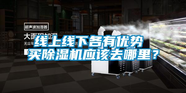 線上線下各有優(yōu)勢(shì) 買除濕機(jī)應(yīng)該去哪里?
