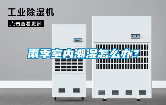 雨季室內潮濕怎么辦？