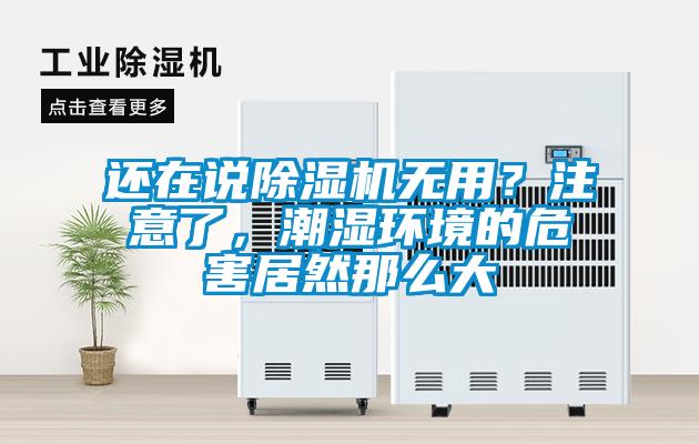 還在說除濕機(jī)無用?注意了,潮濕環(huán)境的危害居然那么大