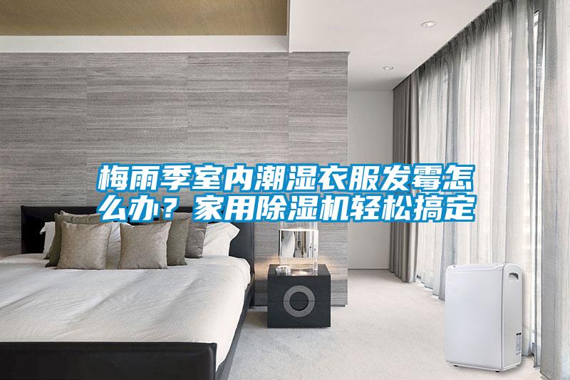 梅雨季室內潮濕衣服發霉怎么辦？家用除濕機輕松搞定