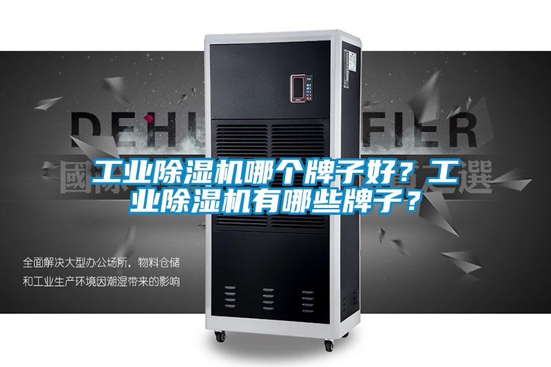 工業(yè)除濕機(jī)哪個牌子好？工業(yè)除濕機(jī)有哪些牌子？