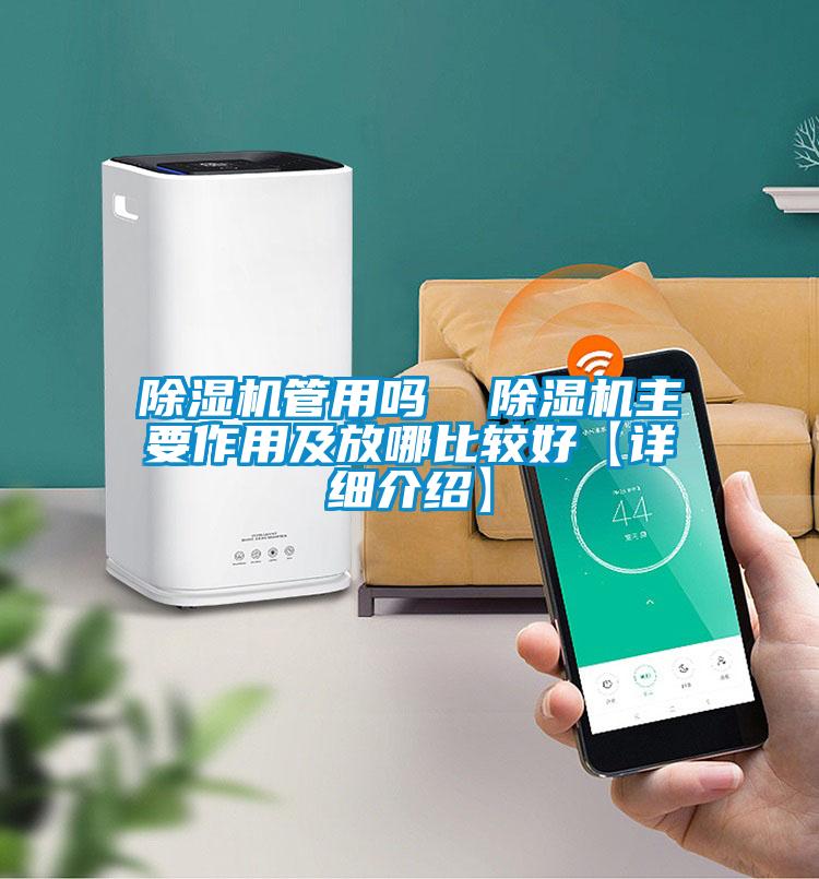 除濕機管用嗎 除濕機主要作用及放哪比較好【詳細介紹】