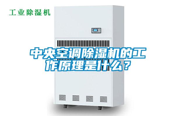 中央空調除濕機的工作原理是什么?