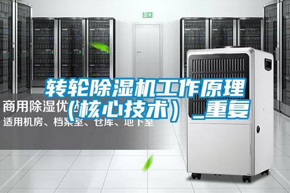 轉輪除濕機工作原理(核心技術)_重復