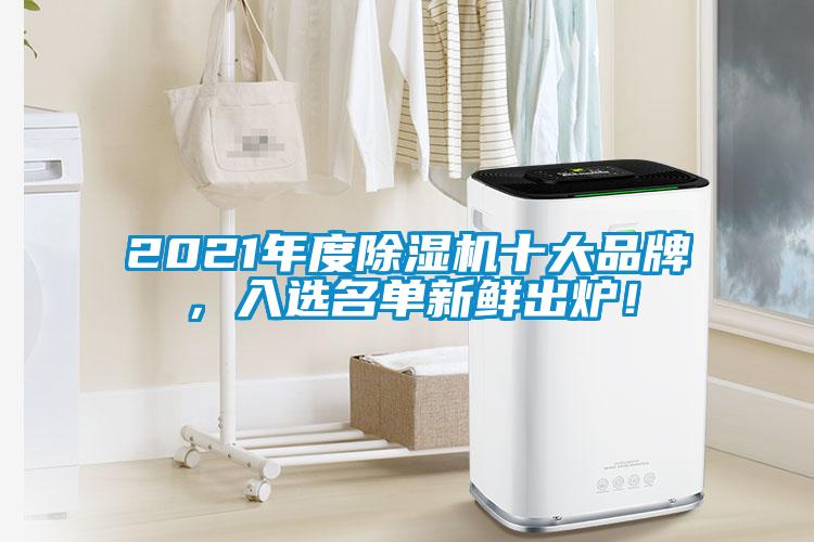 2021年度除濕機(jī)十大品牌,入選名單新鮮出爐!