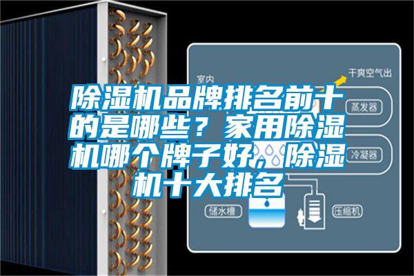 除濕機(jī)品牌排名前十的是哪些？家用除濕機(jī)哪個(gè)牌子好，除濕機(jī)十大排名