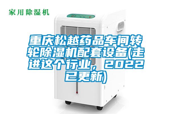 重慶松越藥品車間轉輪除濕機配套設備(走進這個行業,2022已更新)