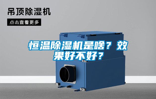 恒溫除濕機(jī)是啥？效果好不好？