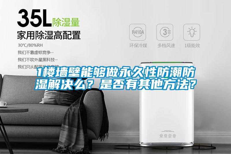 1樓墻壁能夠做永久性防潮防濕解決么?是否有其他方法?