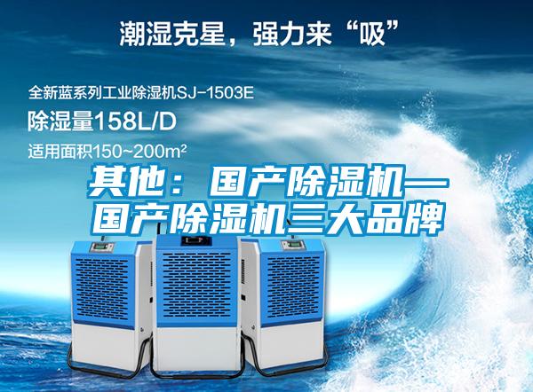 其他:國產(chǎn)除濕機(jī)—國產(chǎn)除濕機(jī)三大品牌