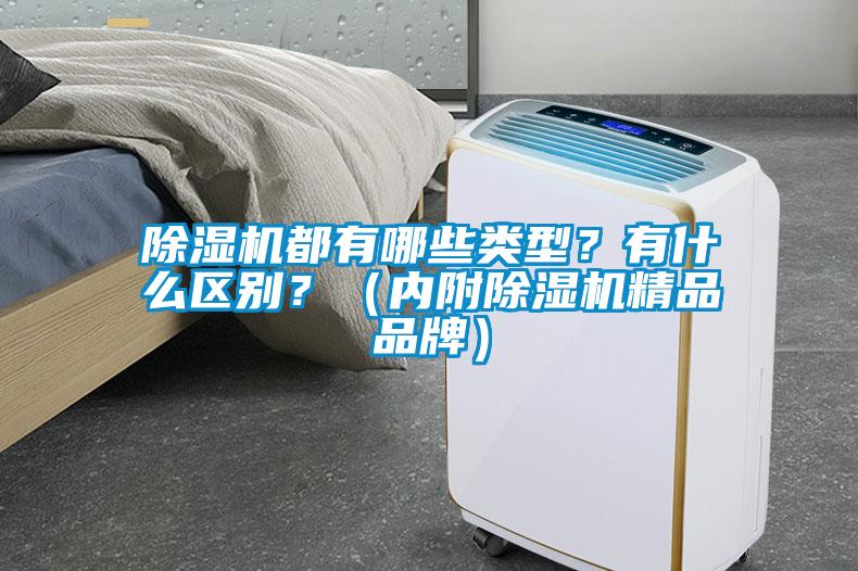 除濕機(jī)都有哪些類型？有什么區(qū)別？（內(nèi)附除濕機(jī)精品品牌）