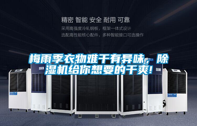 梅雨季衣物難干有異味，除濕機給你想要的干爽!