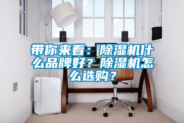 帶你來(lái)看:除濕機(jī)什么品牌好?除濕機(jī)怎么選購(gòu)?