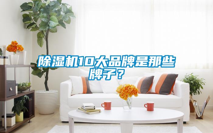 除濕機10大品牌是那些牌子？